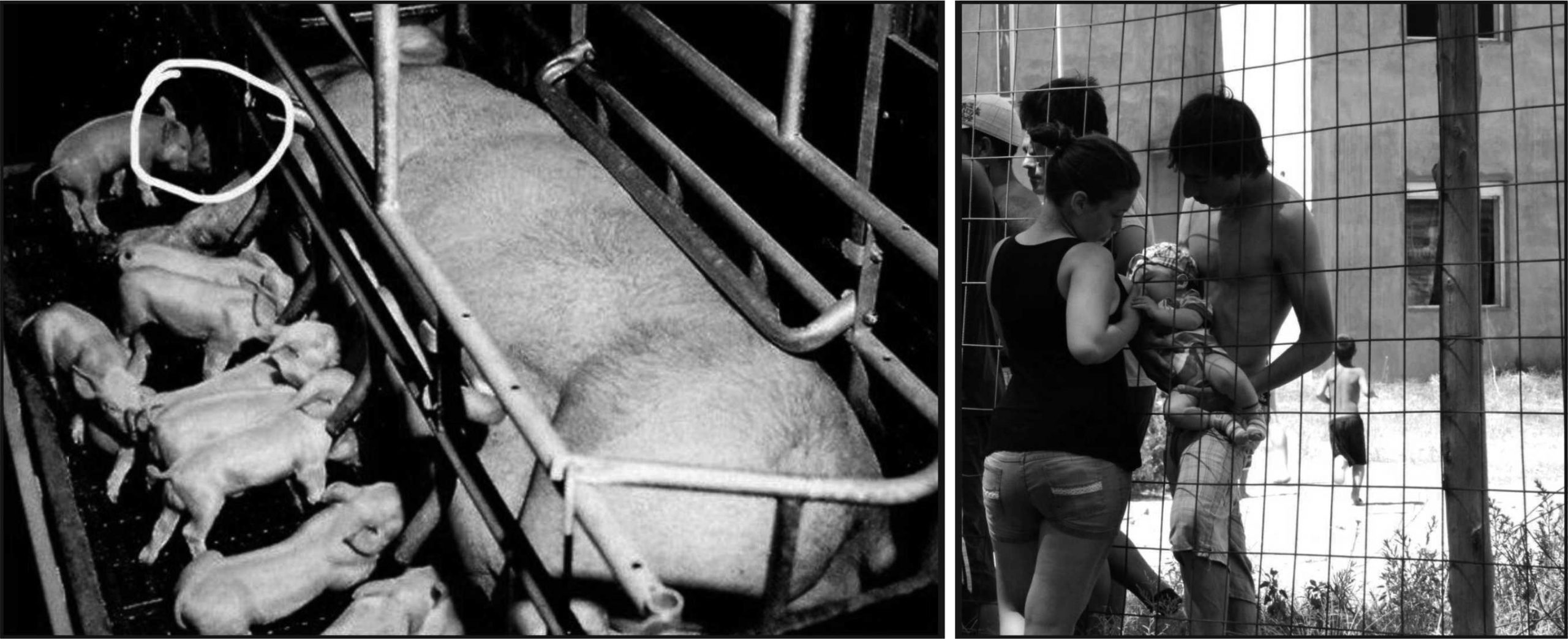 Εγκλεισμός ζώου και ανθρώπου