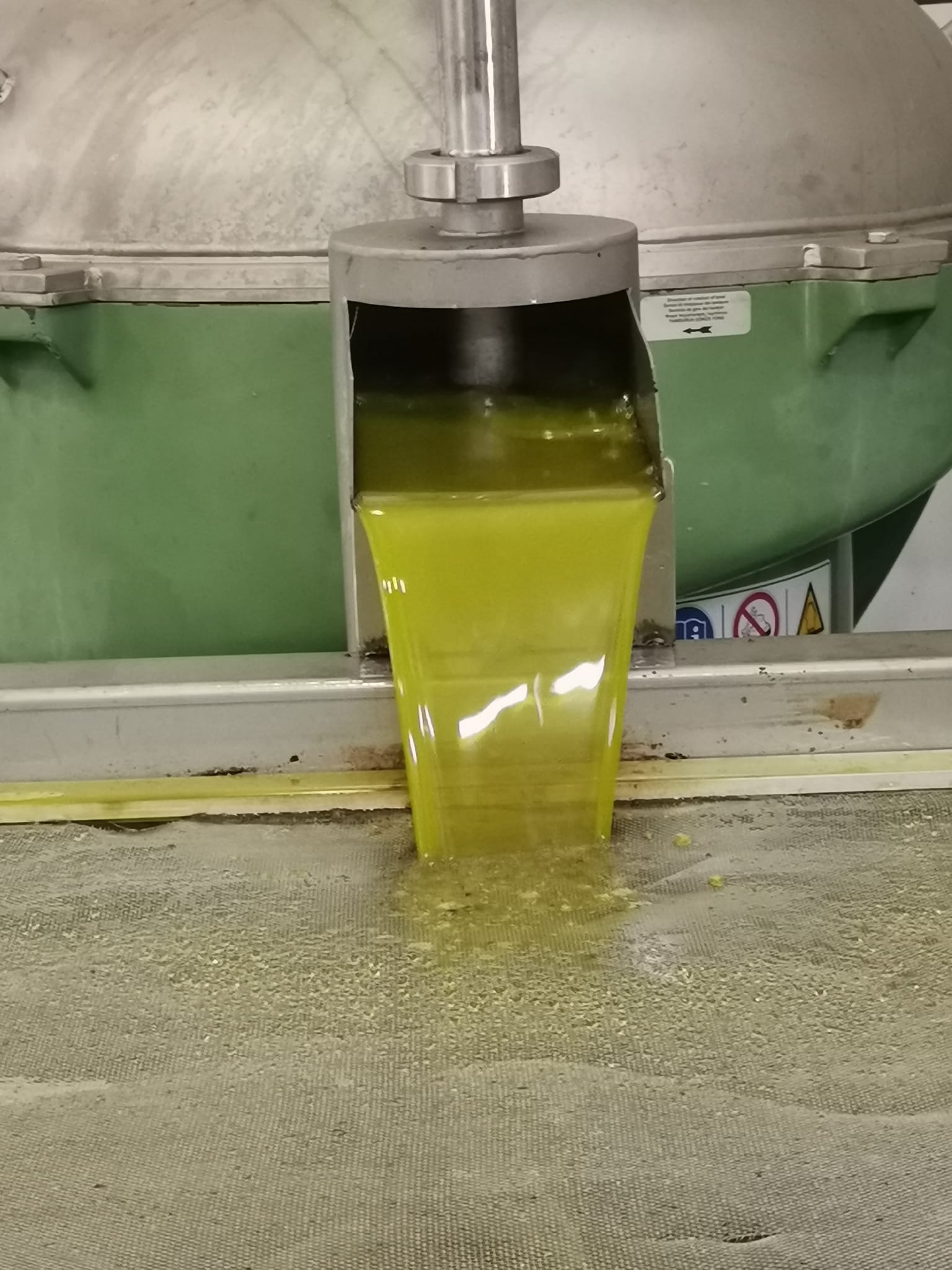 ΛΑΚΩΝΙΑ: Η ελαιοσυγκομιδή τελειώνει – οι τιμές υποχωρούν