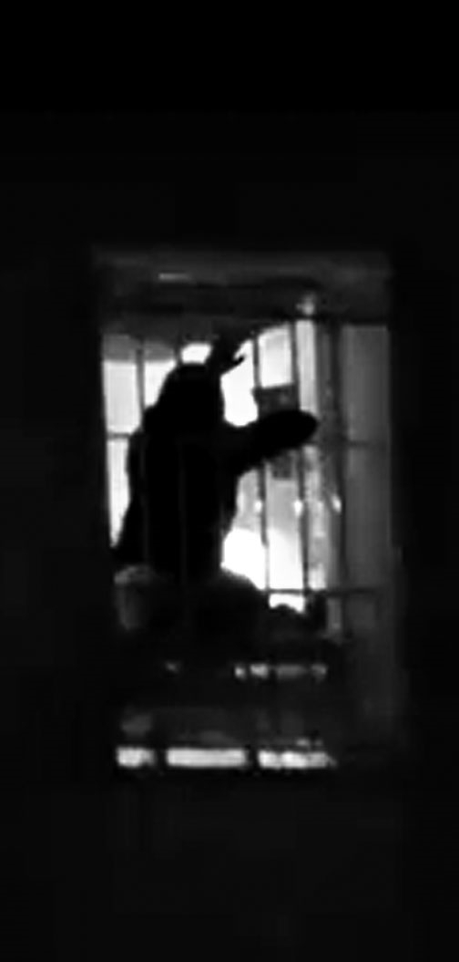 Κορυδαλλός: Φυλακή ή Μηχανή Θανάτου;